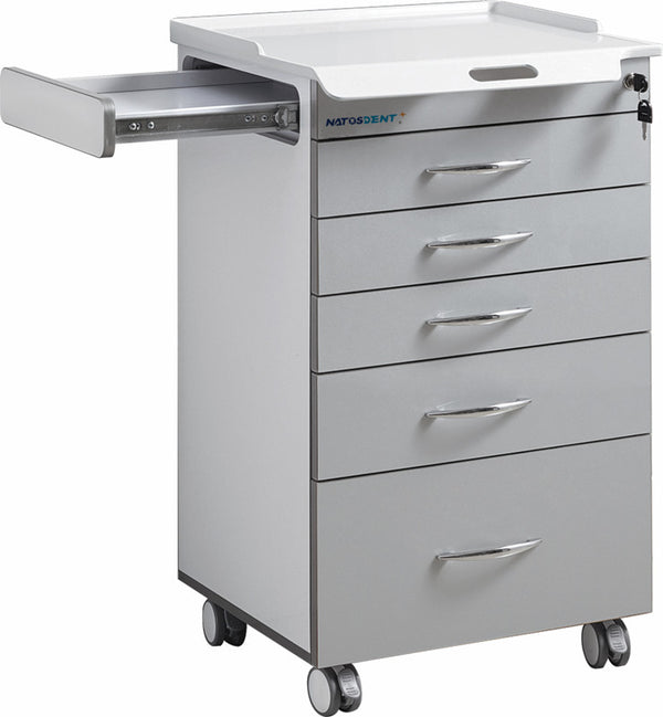 Dental Cabinet Trolley For Instrument Storage Surgery with 5 Drawers