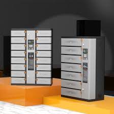 App-Managed Smart Charging Locker System