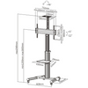Mobile Display Stand with 90 Degree Display Rotation (L01)
