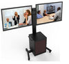 Dual Tv Floor Stand TMC02 (with Lockable Cabinet)